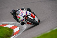 anglesey;brands-hatch;cadwell-park;croft;donington-park;enduro-digital-images;event-digital-images;eventdigitalimages;mallory;no-limits;oulton-park;peter-wileman-photography;racing-digital-images;silverstone;snetterton;trackday-digital-images;trackday-photos;vmcc-banbury-run;welsh-2-day-enduro